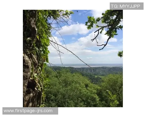 攀岩爱好者必看：挑选最佳防护垫的全面指南与推荐